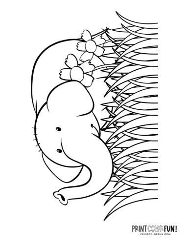 Cartoon elephant coloring pages from PrintColorFun-com (4)