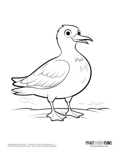 Cartoon seagull coloring page - bird clipart at PrintColorFun com