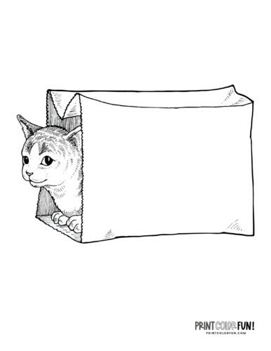 Cat coloring page clipart from PrintColorFun com (5)