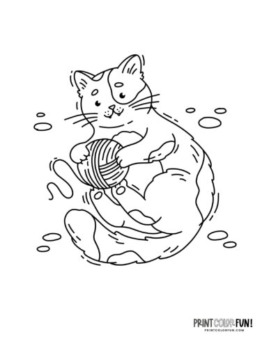 Cat coloring page from PrintColorFun com 1