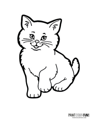 Cat coloring page from PrintColorFun com 2