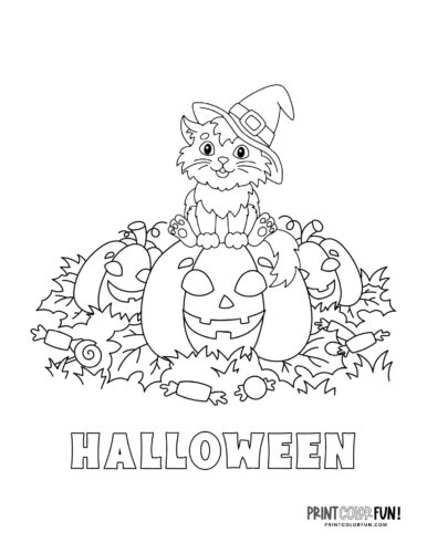 Cat with some Halloween pumpkins - Coloring page