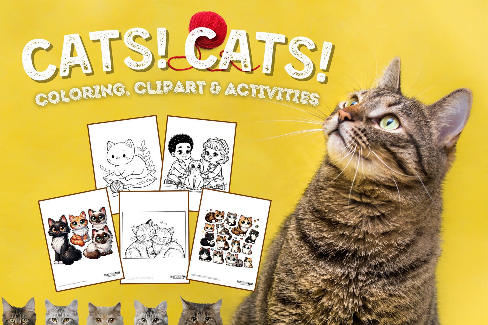 Cats coloring page clipart activities from PrintColorFun com