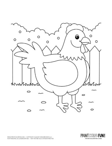 Chicken coloring page clipart from PrintColorFun com 1