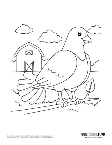 Chicken coloring page clipart from PrintColorFun com 2