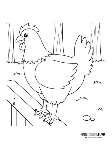 Chicken coloring page from PrintColorFun com 07