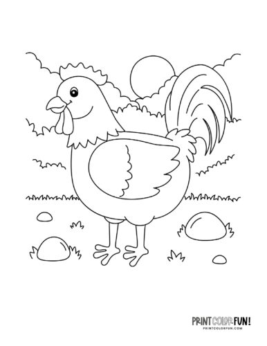 Chicken coloring page from PrintColorFun com 13