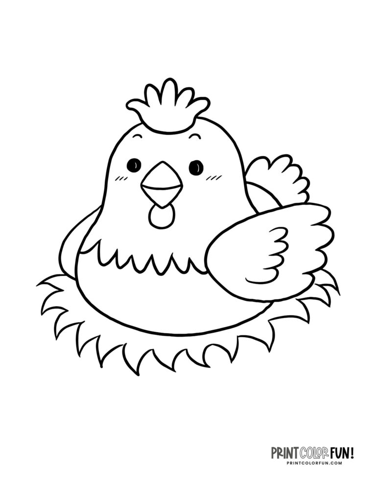 45+ chicken clipart & coloring pages: Creative activities featuring ...