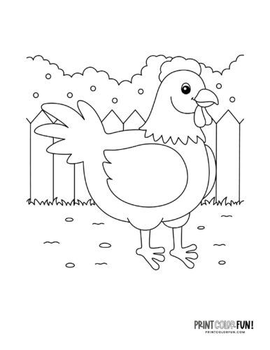 Chicken hen coloring clipart from PrintColorFun com 4