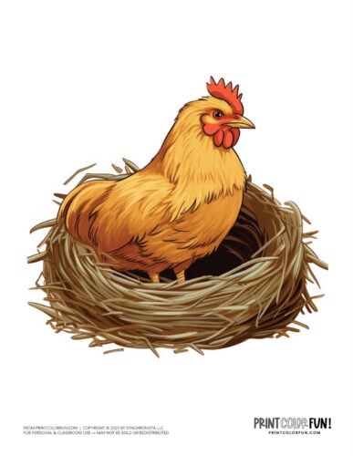 Chicken hen nest clipart drawing from PrintColorFun com (1)