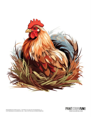 Chicken hen nest clipart drawing from PrintColorFun com (2)