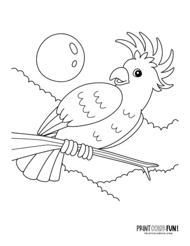 Cockatoo parrot on a branch coloring page - PrintColorFun com