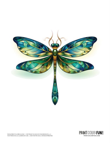 Color dragonfly clipart from PrintColorFun com (1)