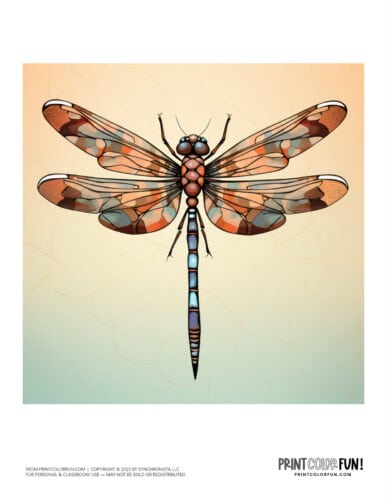Color dragonfly clipart from PrintColorFun com (3)