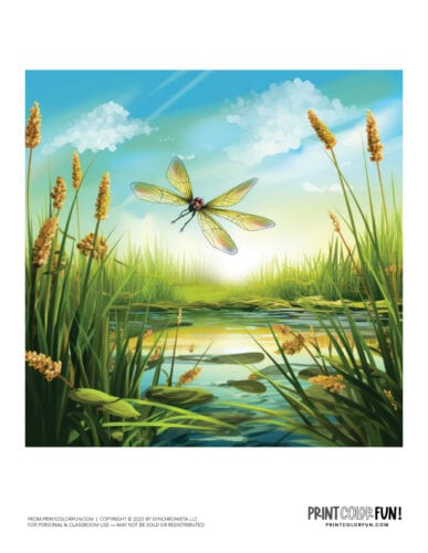 Color dragonfly scene clipart from PrintColorFun com (2)