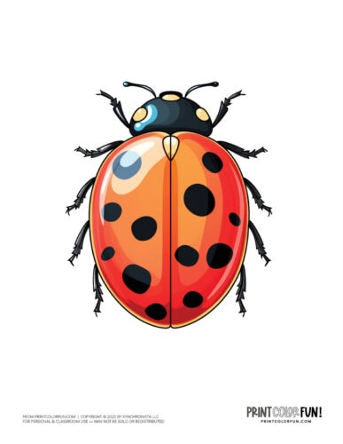 Color ladybug clipart from PrintColorFun com (2)
