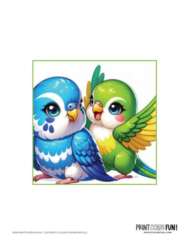 Color parakeet clip art illustration from PrintColorFun com 2