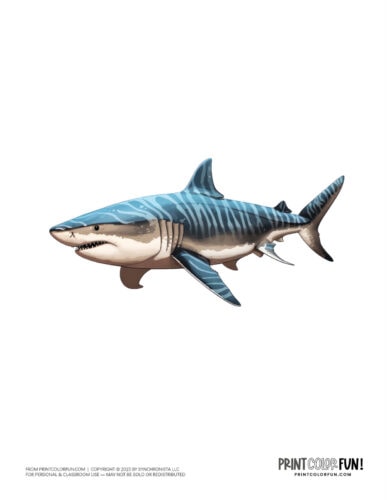 Color shark clipart drawings from PrintColorFun com (2)