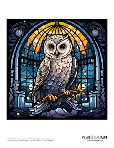 Color storybook fantasy owl clipart from PrintColorFun com (3)