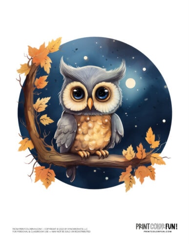 Colorful owl clipart drawing from PrintColorFun com (3)
