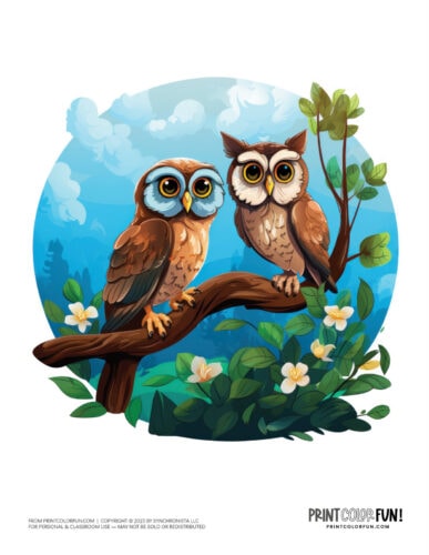 Colorful owl clipart drawing from PrintColorFun com (5)