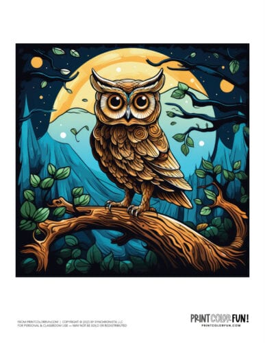 Colorful owl clipart drawing from PrintColorFun com (6)