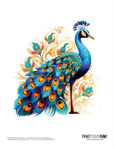 Colorful peacock clipart from PrintColorFun com (1)