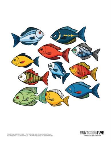 Colorful school of fish clipart from PrintColorFun com (10)