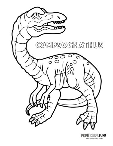 Compsognathus dinosaur coloring page - PrintColorFun com