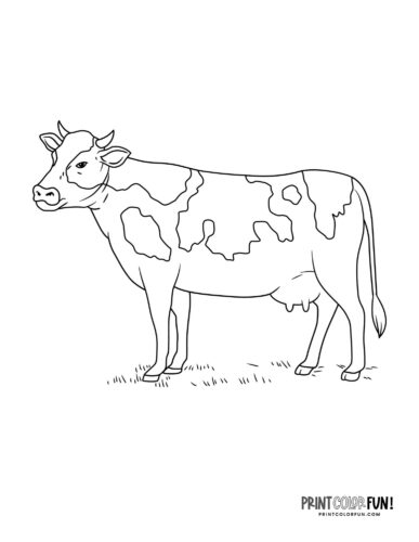 Cow coloring page clipart at PrintColorFun com 1