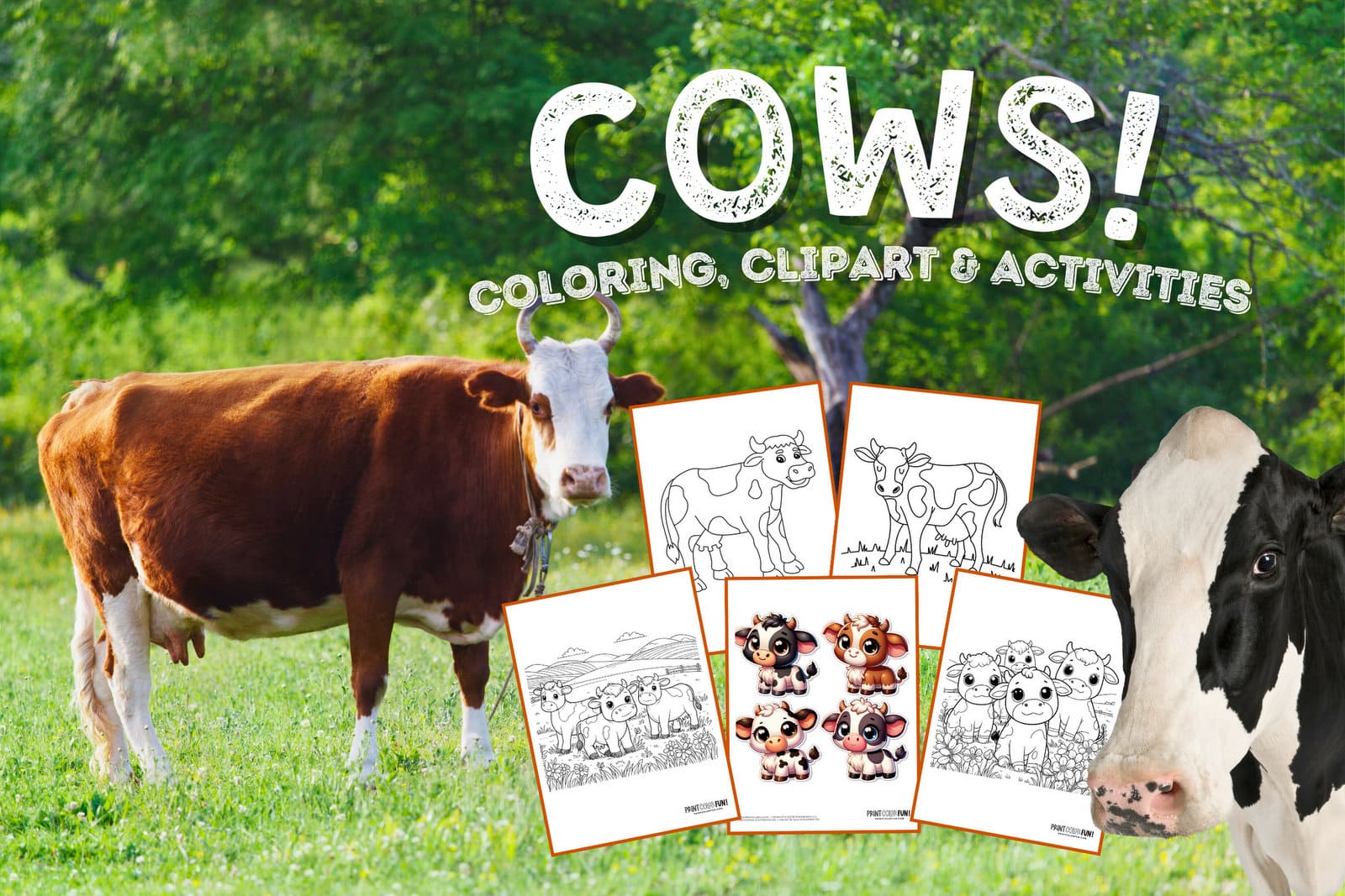 Cows coloring page clipart activities from PrintColorFun com