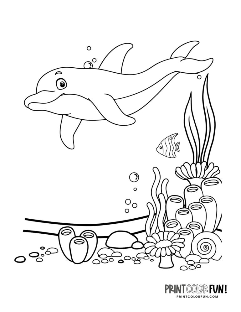 27 printable dolphin coloring pages: Dive into a world of fun crafts ...