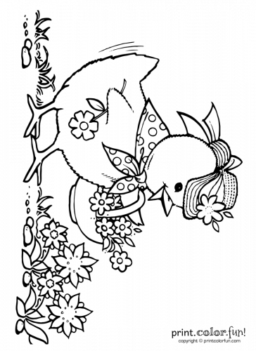 Cute-Easter-chick