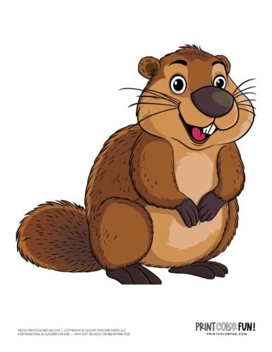 Cute beaver clipart - animal drawing from PrintColorFun com (03)