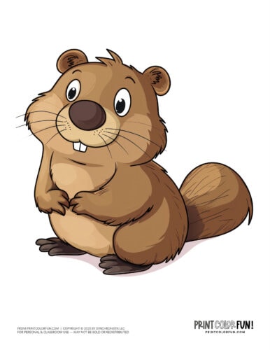 Cute beaver clipart - animal drawing from PrintColorFun com (04)
