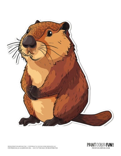 Cute beaver clipart - animal drawing from PrintColorFun com (06)