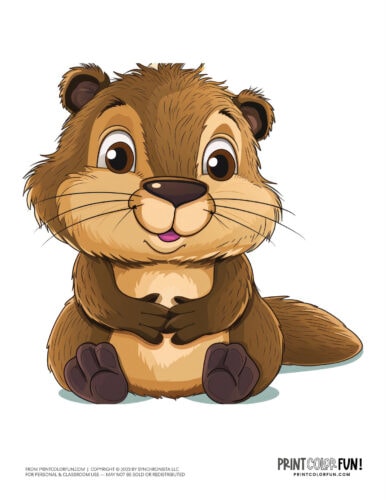 Cute beaver clipart - animal drawing from PrintColorFun com (07)