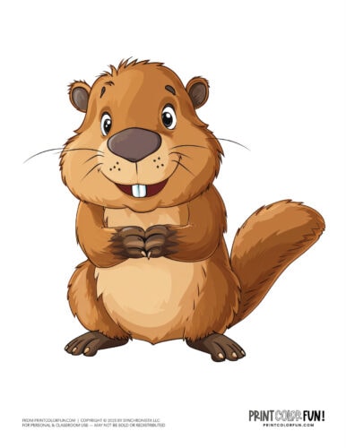 Cute beaver clipart - animal drawing from PrintColorFun com (08)