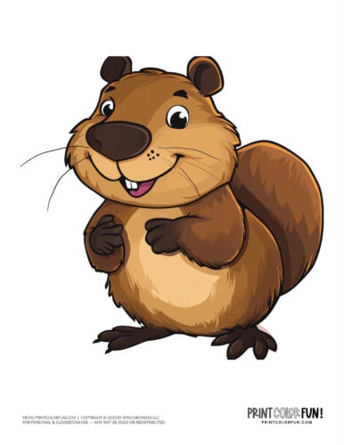 Cute beaver clipart - animal drawing from PrintColorFun com (09)