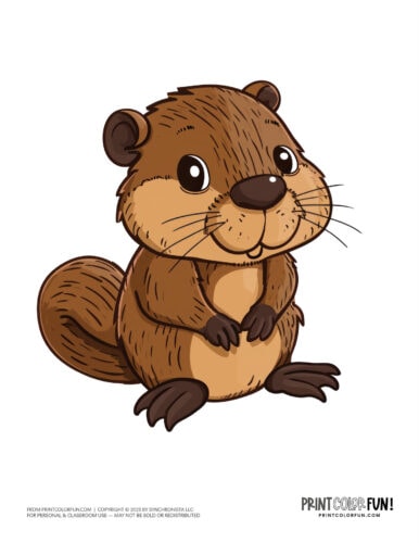 Cute beaver clipart - animal drawing from PrintColorFun com (10)