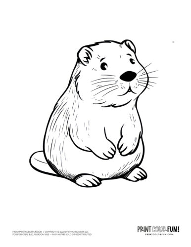 Cute beaver coloring page - animal drawing from PrintColorFun com (5)