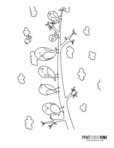 Cute cartoon birds coloring clipart from PrintColorFun com 1
