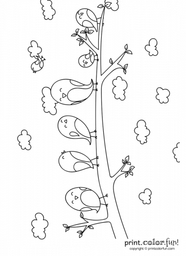 Cute cartoon birds on a branch