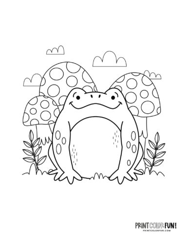 Cute cartoon frog coloring page clipart from PrintColorFun com (1)