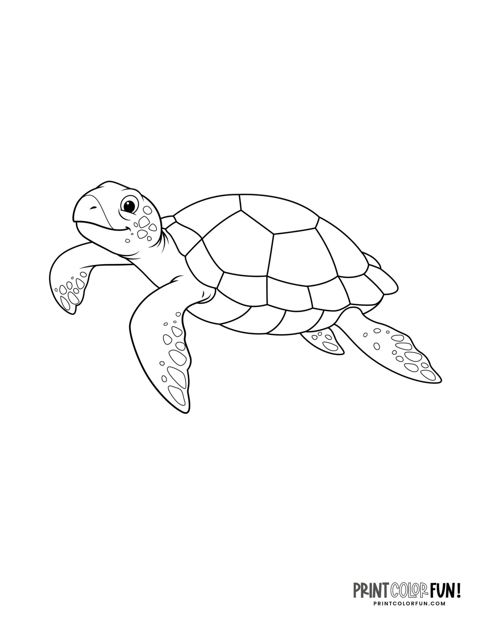 Sea Turtle Coloring Pages & Clipart, At Printcolorfun.com