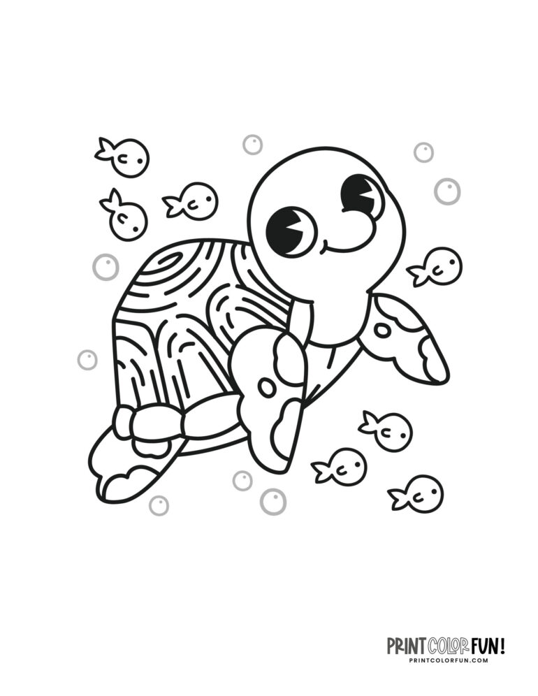 Sea turtle coloring pages & clipart, at PrintColorFun.com