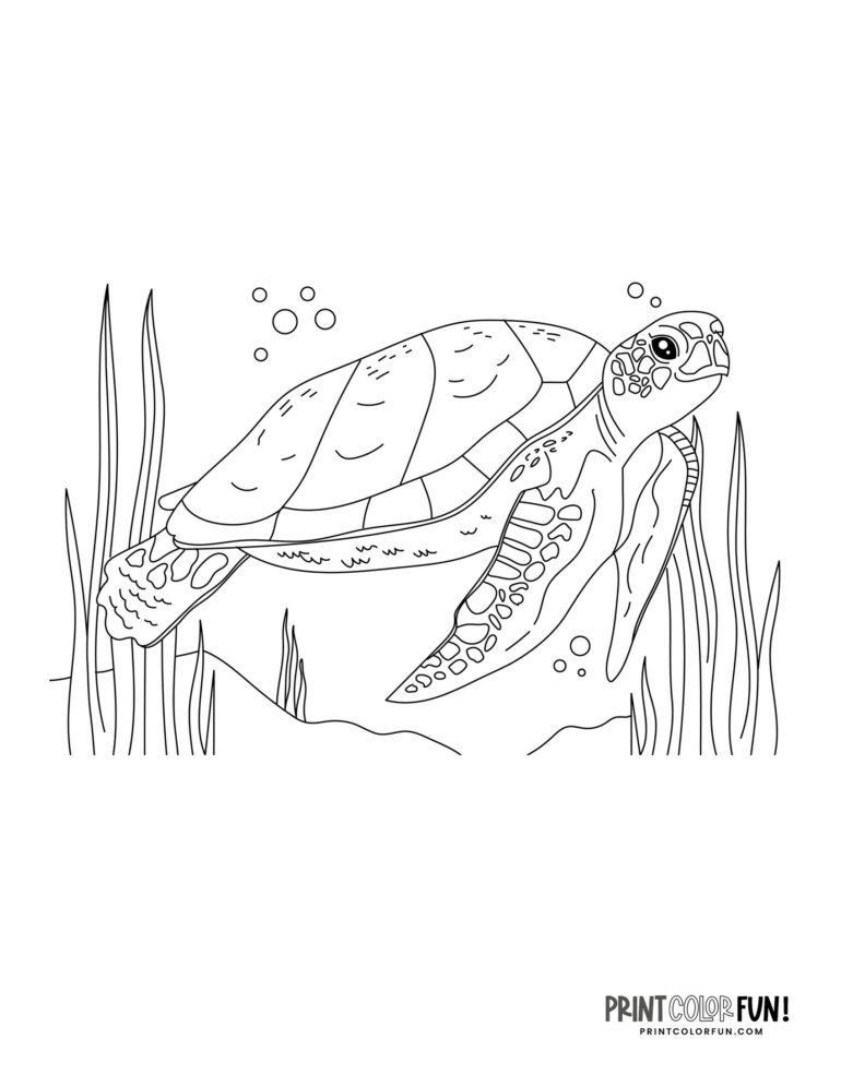 Cute cartoon sea turtle coloring pages at PrintColorFun com 6