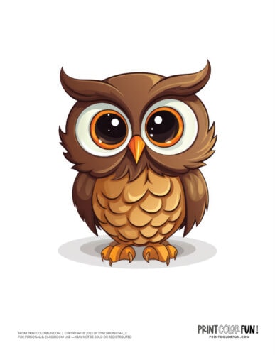 Cute colorful owl clipart drawing from PrintColorFun com (4)