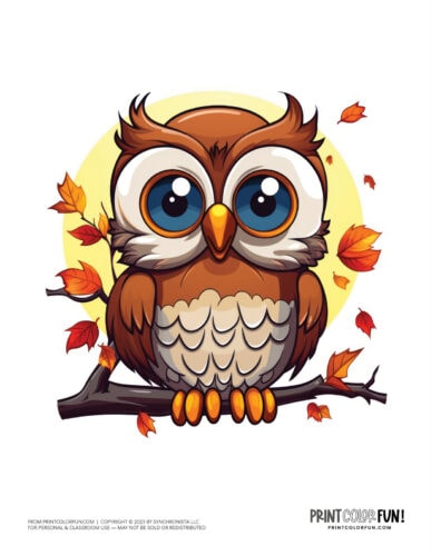 Cute colorful owl clipart drawing from PrintColorFun com (5)