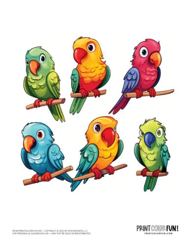 Cute colorful parrot clipart from PrintColorFun com (3)